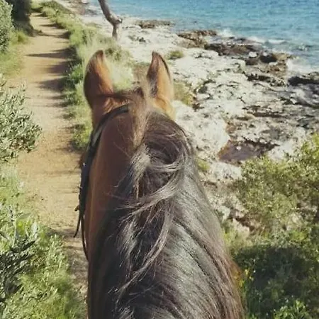 Vegros Mobile Homes Slanica Murter