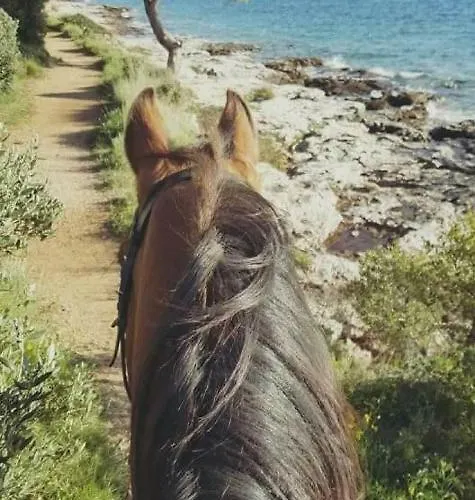 Vegros Mobile Homes Slanica 穆泰尔岛